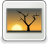 [thumbnail of WhatsApp Image 2026-05-01 at 21.21.32.jpeg]